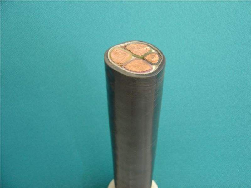 Fluorine plastic high temperature resistant power cable