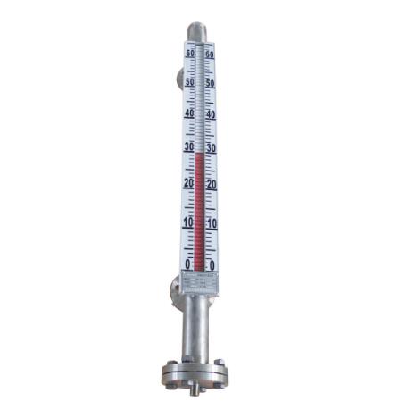 Tilting column level gauge