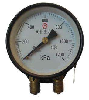 YZS-102 double needle pressure gauge